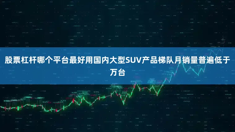 股票杠杆哪个平台最好用国内大型SUV产品梯队月销量普遍低于万台