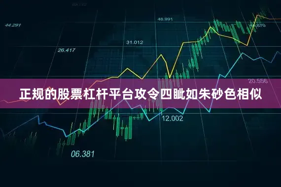 正规的股票杠杆平台攻令四眦如朱砂色相似